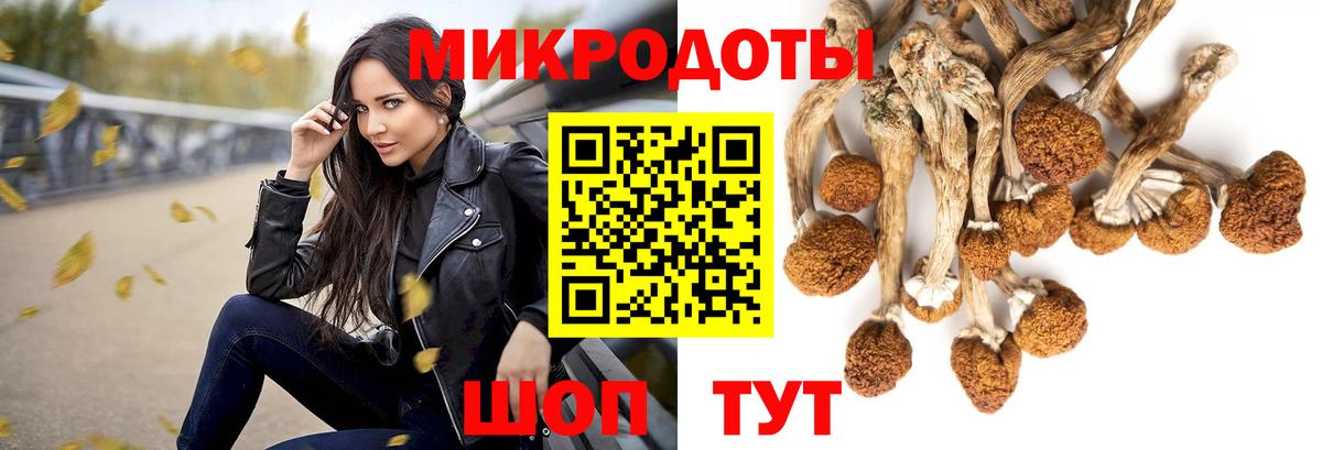 Псилоцибиновые грибы MAGIC MUSHROOMS Сергиев Посад